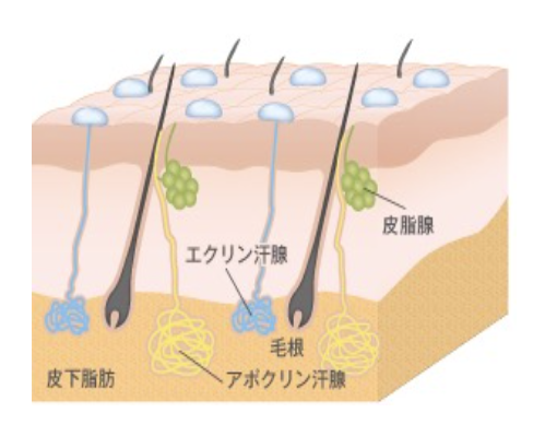 건앤미 암반욕